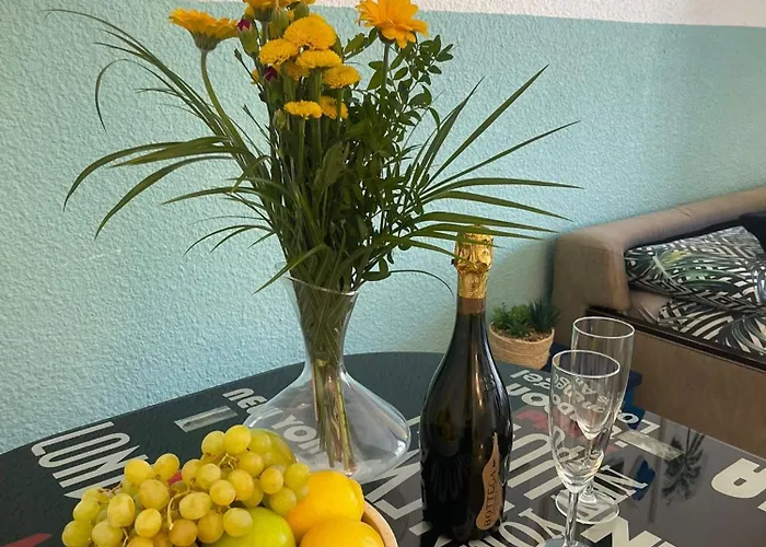 Appartement Super Bord Menton